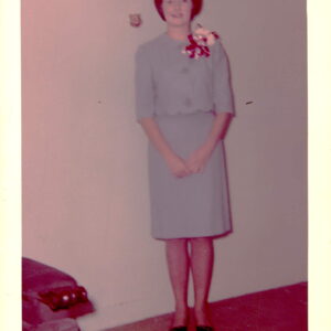 connie stephens Gallery