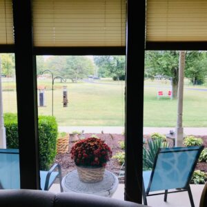 connie stephens Gallery