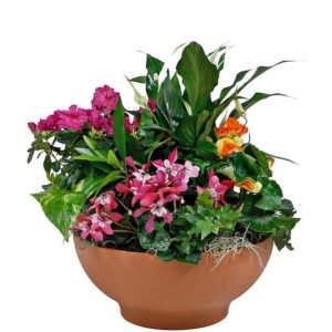 Blooming Garden Pot