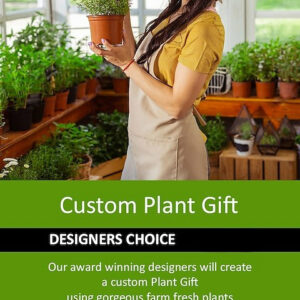 Designer's Choice Plant Gift