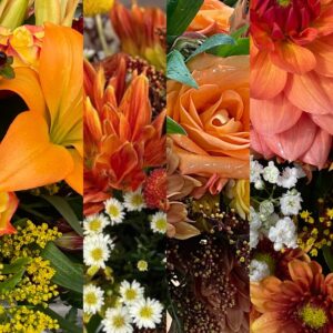 Orange Designer's Choice